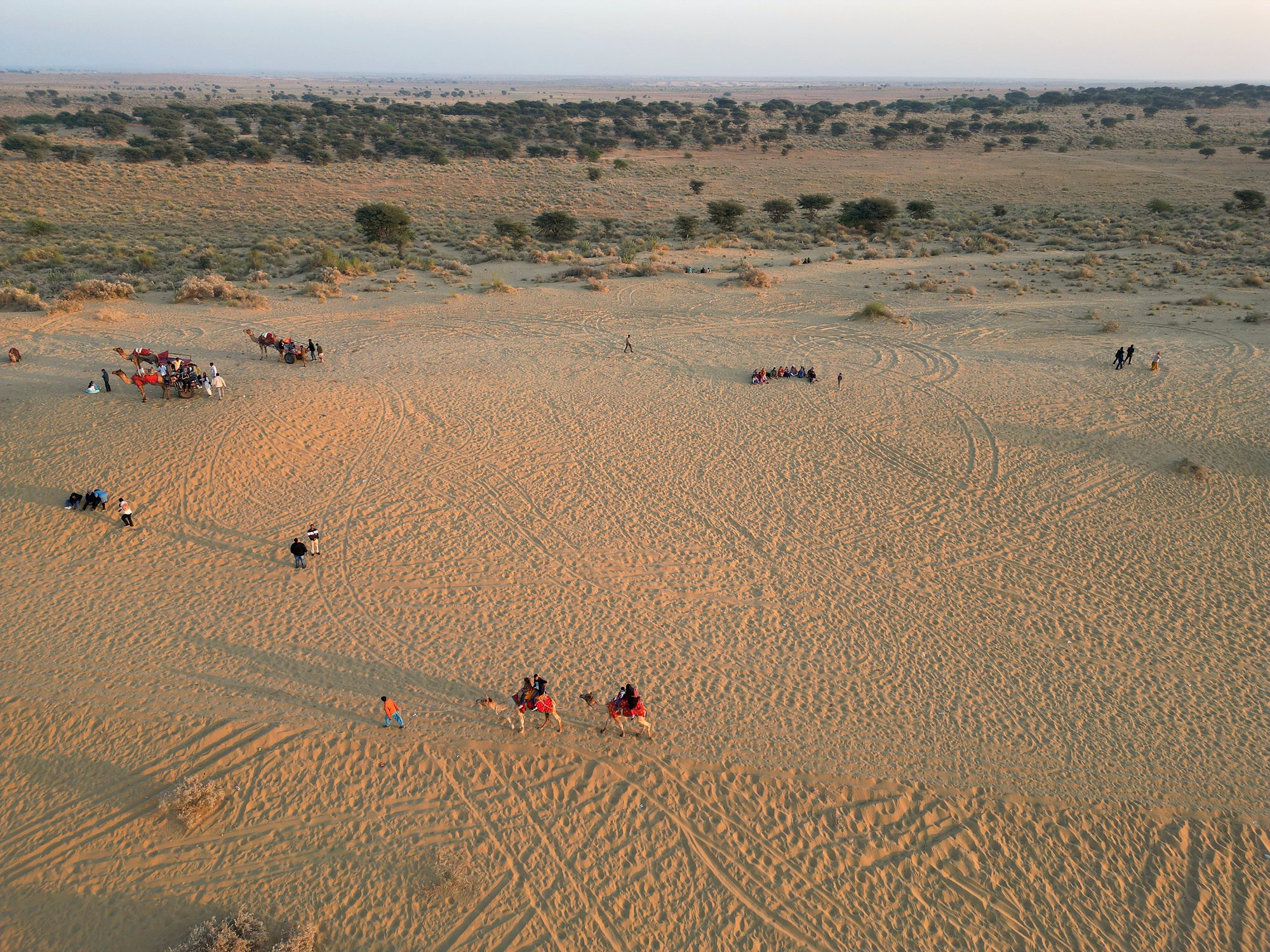 Aerial view of a camel caravan crossing the sand dunes of the Thar Desert near Jaisalmer